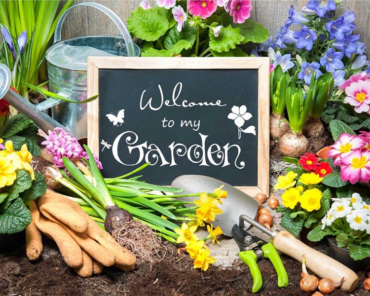 Welcome to my garden